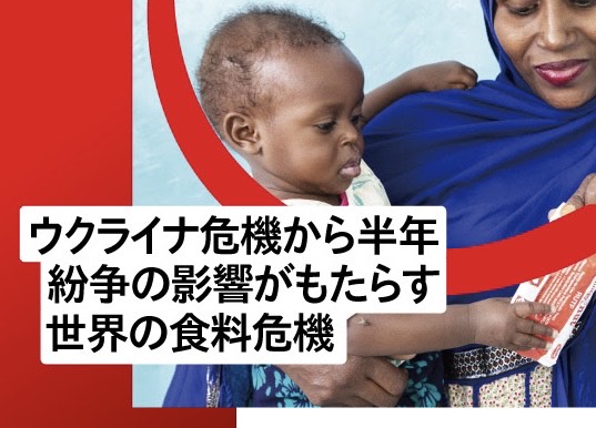 ウクライナ危機から半年